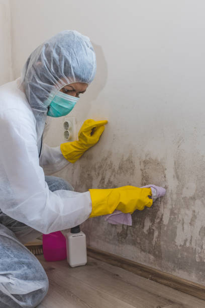 Best Real Estate Mold Inspection  in Hooper, NE