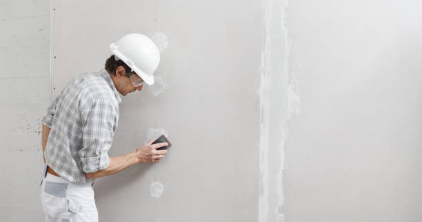 Best Industrial Mold Remediation  in Hooper, NE