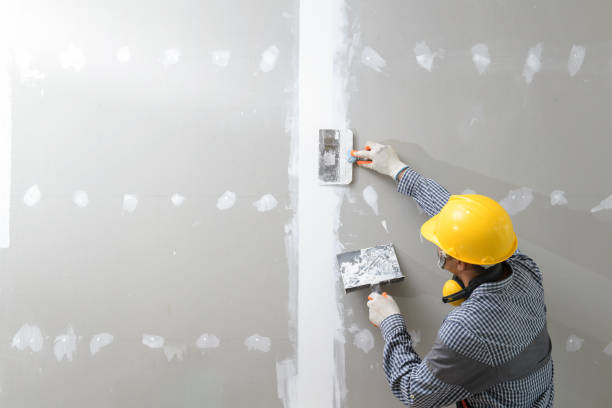 Best Mold Documentation for Insurance Claims  in Hooper, NE