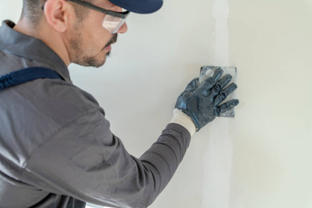 Best Crawl Space Mold Remediation  in Hooper, NE
