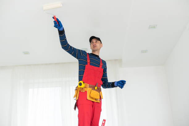 Best Mold Odor Removal Services  in Hooper, NE