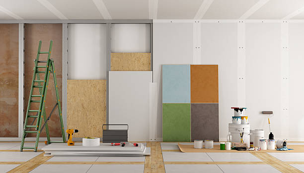 Best Basement Mold Removal  in Hooper, NE