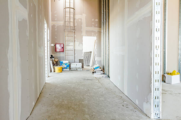 Best Emergency Mold Remediation  in Hooper, NE